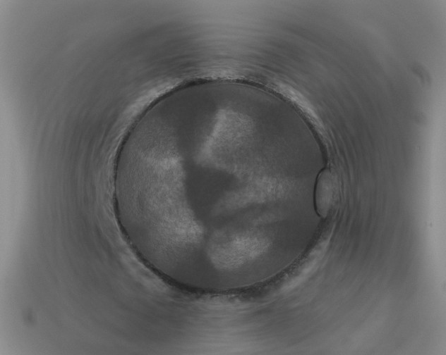 X0000113880673200910081747