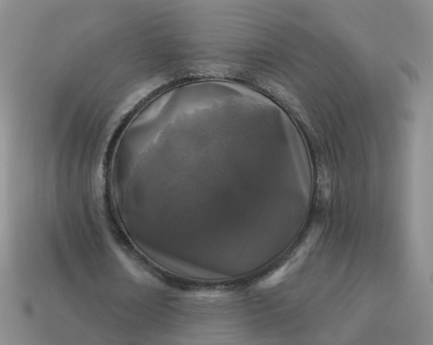 X0000113880674200910081747