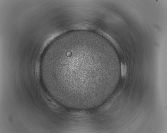 X0000113880675200910081747