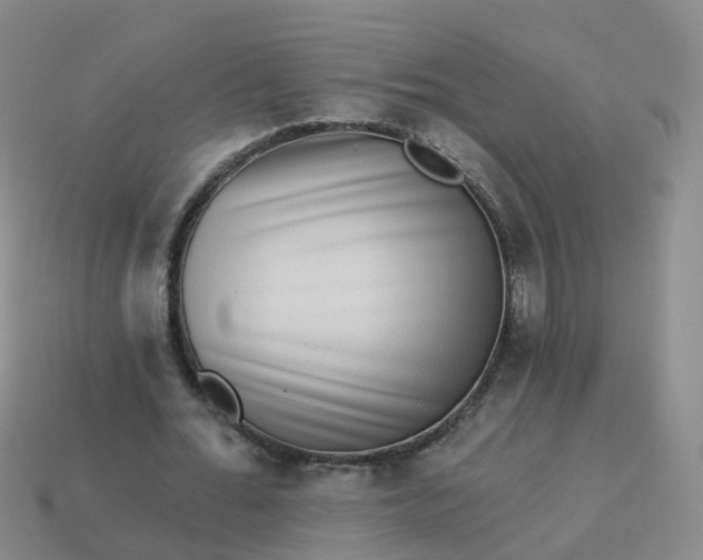 X0000113880676200910081747