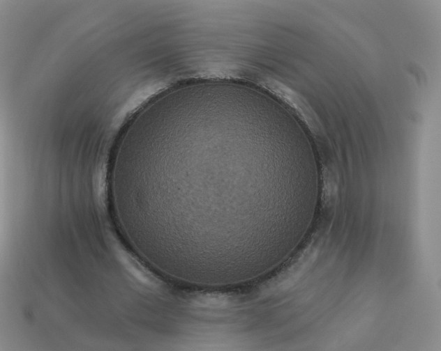 X0000113880677200910081747