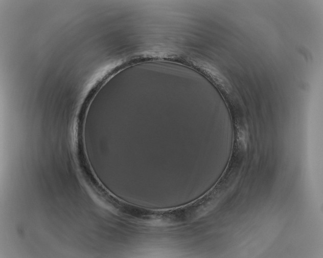 X0000113880678200910081747