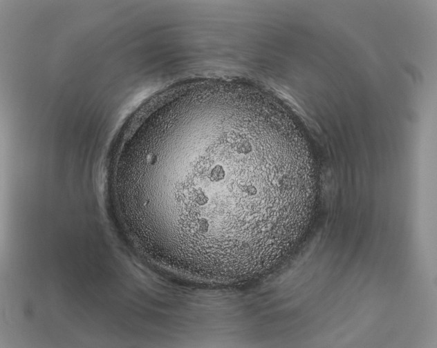 X0000113880679200910081747