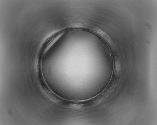 X0000113880680200910081747