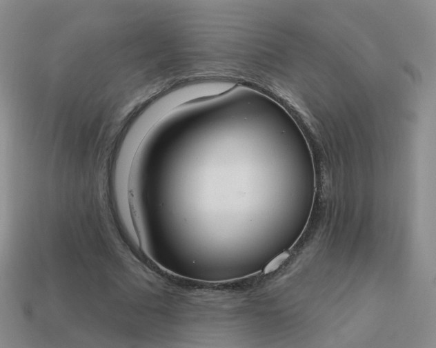 X0000113880681200910081747