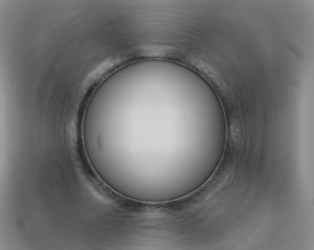 X0000113880682200910081747