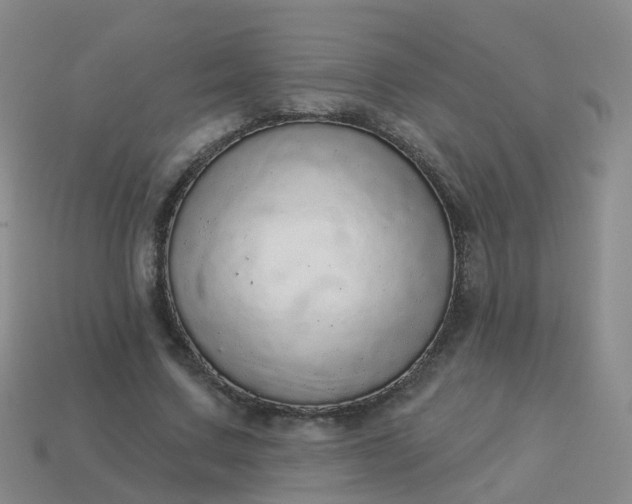 X0000113880683200910081747