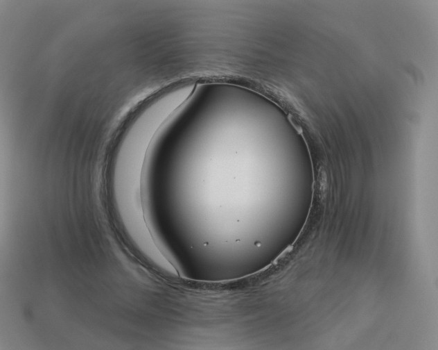 X0000113880684200910081747