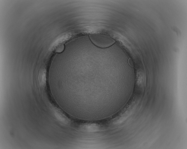 X0000113880685200910081747