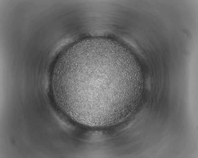 X0000113880687200910081747