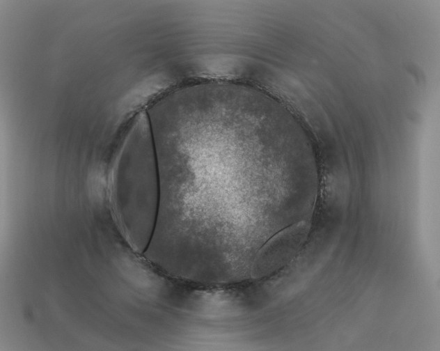 X0000113880688200910081747