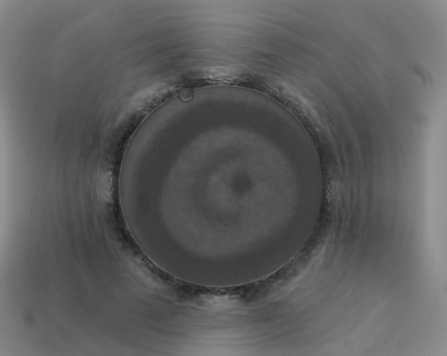 X0000113880689200910081747