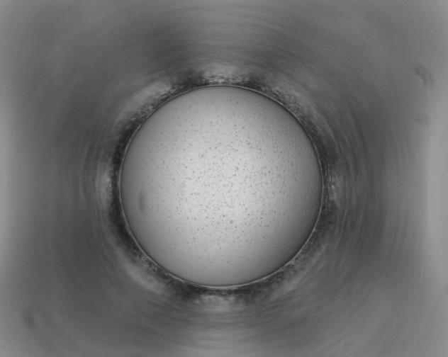 X0000113880690200910081747