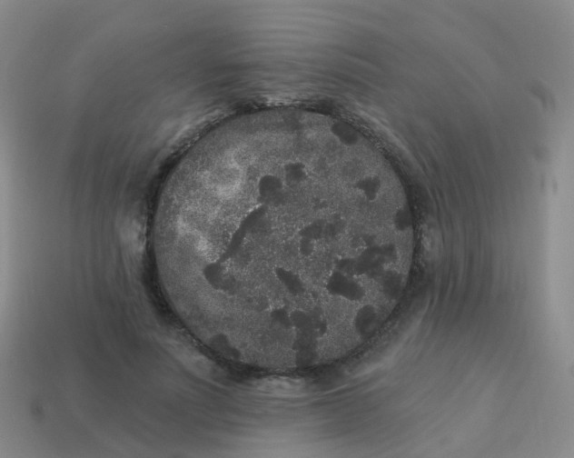 X0000113880691200910081747