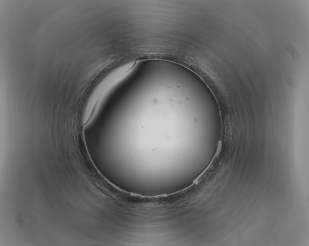 X0000113880692200910081747