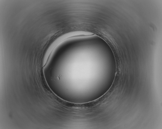 X0000113880693200910081747