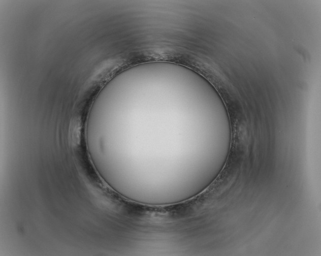 X0000113880694200910081747