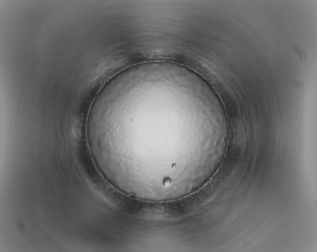 X0000113880695200910081747