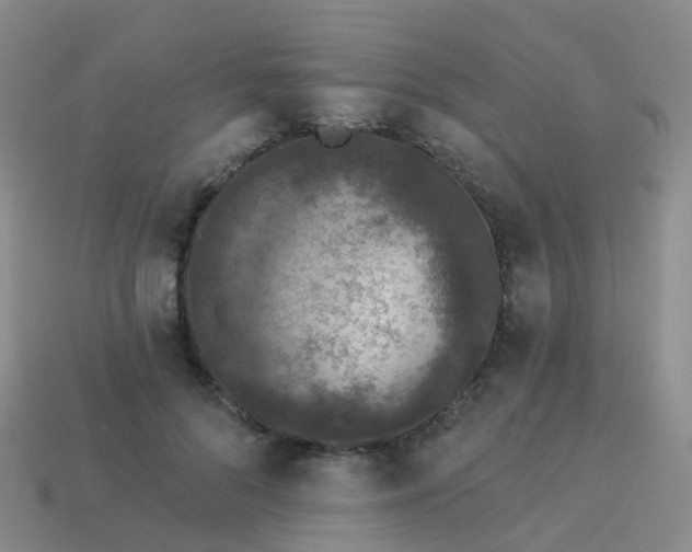 X0000113880696200910081747