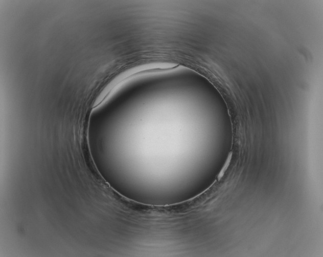 X0000113880697200910081747