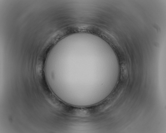 X0000113880698200910081747