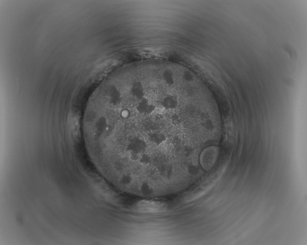 X0000113880699200910081747