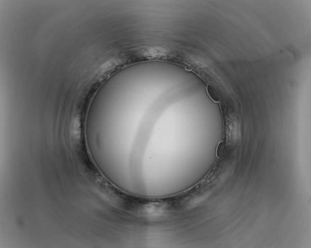 X0000113880700200910081747