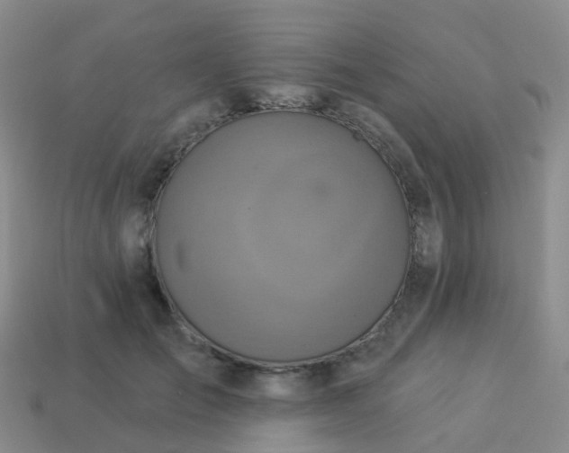 X0000113880701200910081747