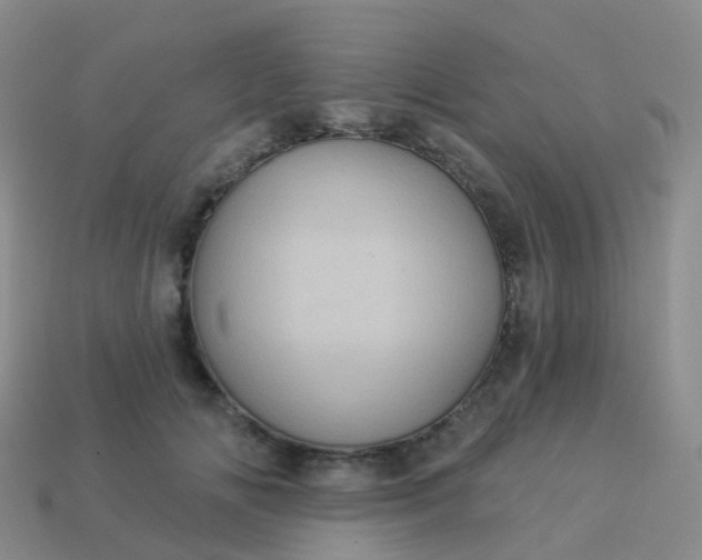 X0000113880702200910081747