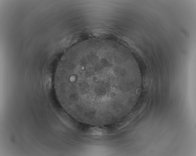 X0000113880703200910081747