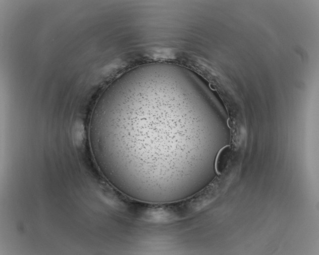 X0000113880704200910081747