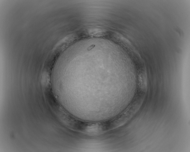 X0000113880705200910081746