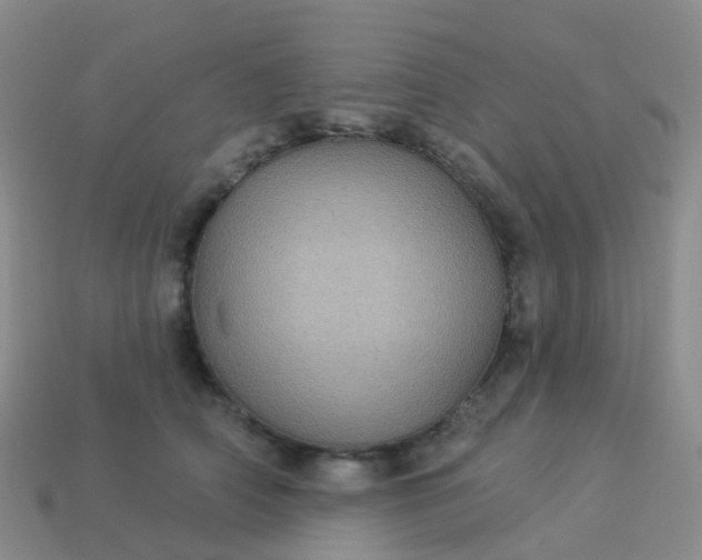 X0000113880706200910081746