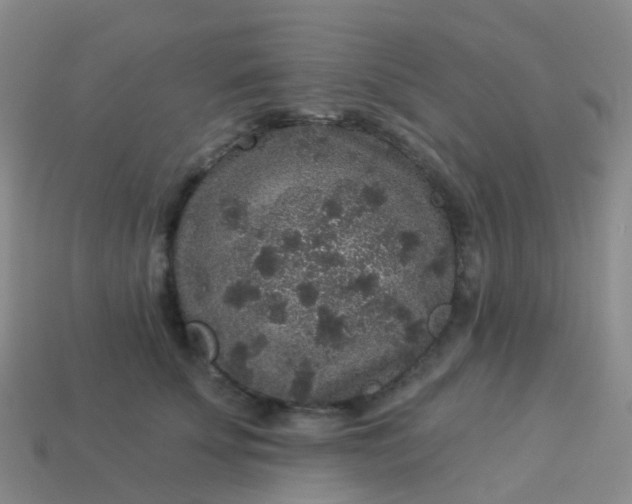 X0000113880707200910081746