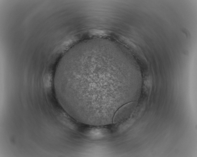 X0000113880708200910081746