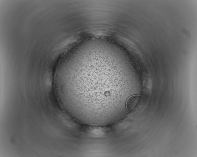 X0000113880710200910081746