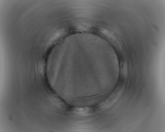 X0000113880712200910081746