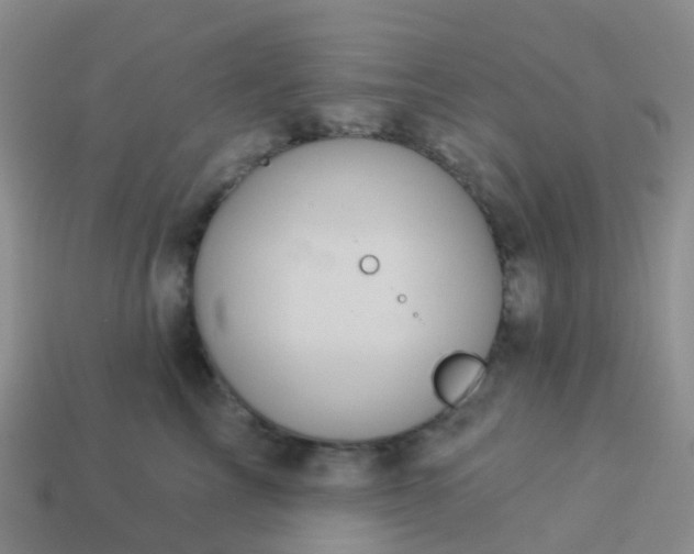 X0000113880713200910081746