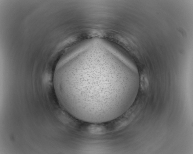 X0000113880714200910081746