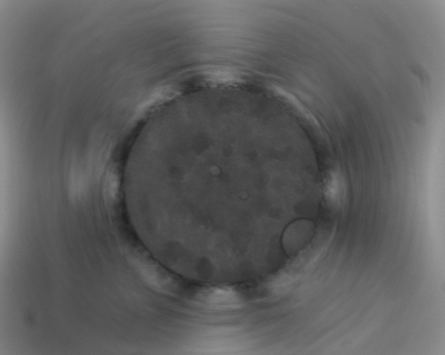 X0000113880715200910081746