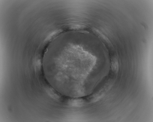 X0000113880716200910081746