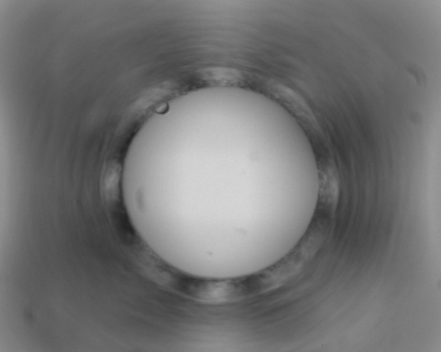 X0000113880717200910081746