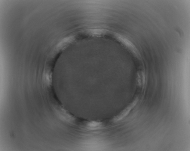 X0000113880718200910081746