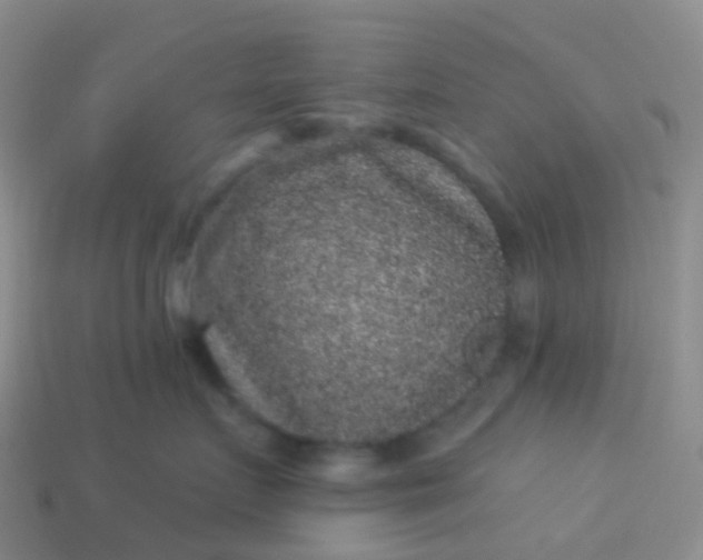 X0000113880719200910081746