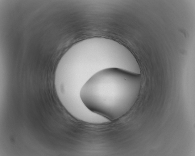 X0000113880720200910081746