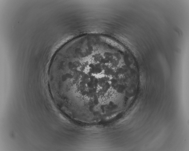 X0000113880721200910081746