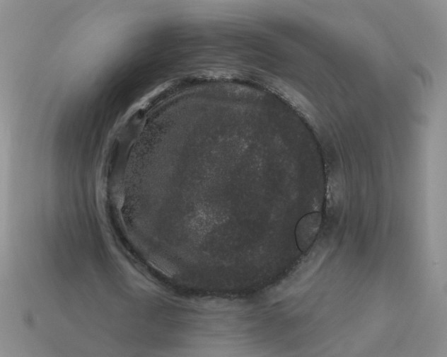 X0000113880722200910081746