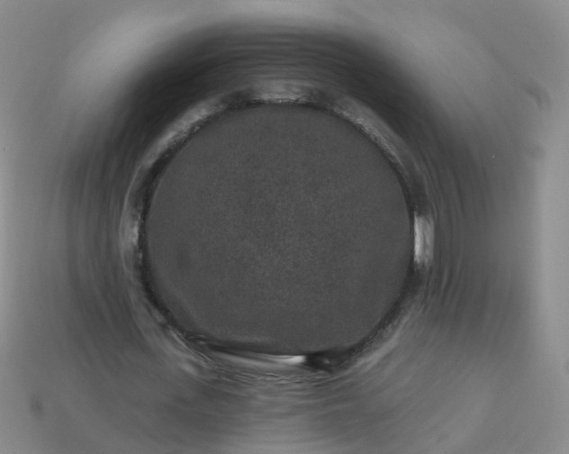 X0000113880723200910081746