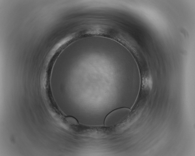 X0000113880724200910081746