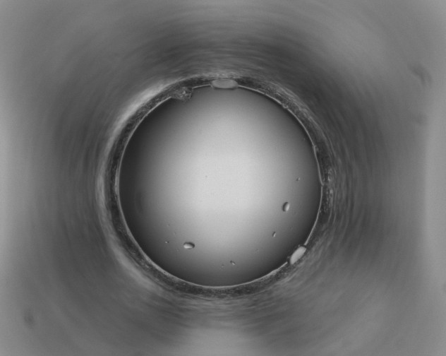 X0000113880726200910081746